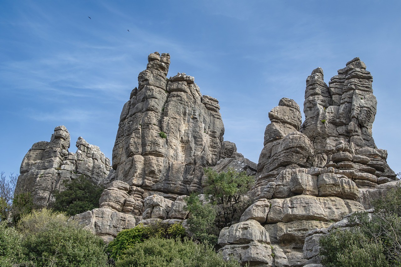 الحماية المؤقتة والترحيل 1 Sınır Dışı Kararı ve Geçici Koruma